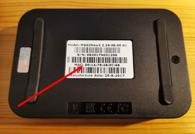 EVESTV - How to Setup EVESTV IPTV on MAG Box